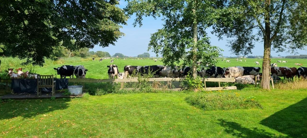 Slapen Bij Bonanza Villa Bantega Exteriör bild