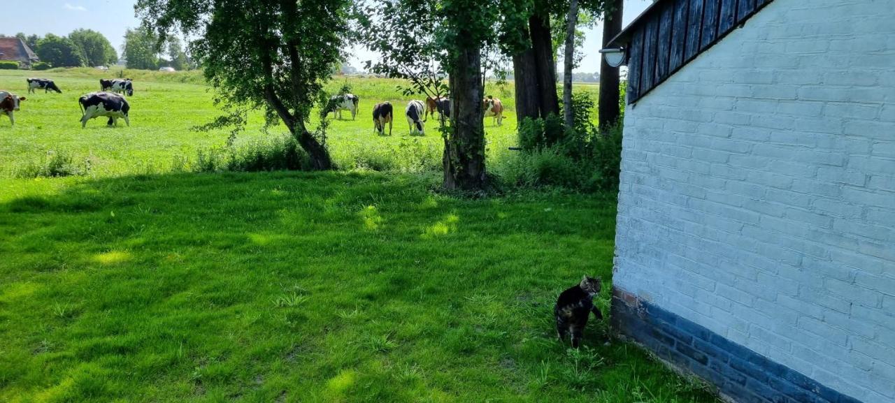Slapen Bij Bonanza Villa Bantega Exteriör bild