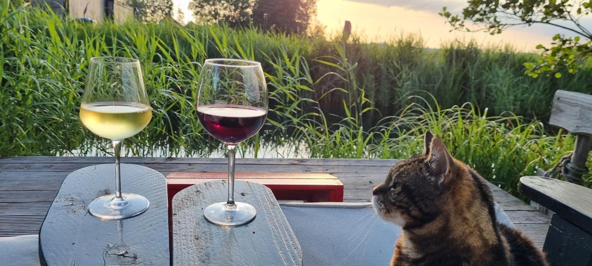Slapen Bij Bonanza Villa Bantega Exteriör bild